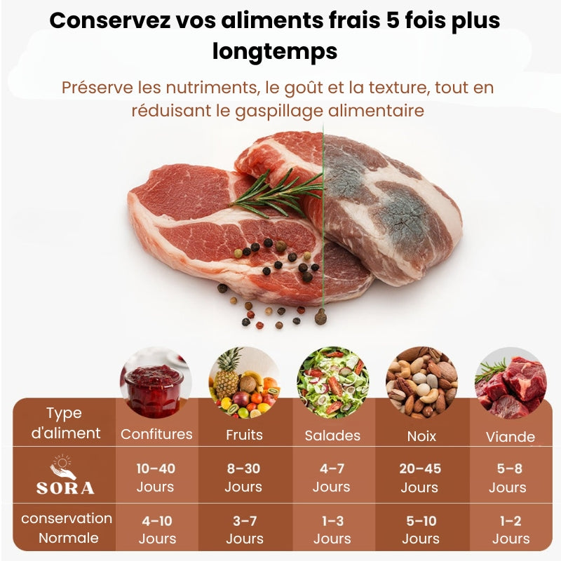 Scelleuse Sous Vide Electrique Pour Bocaux Mason